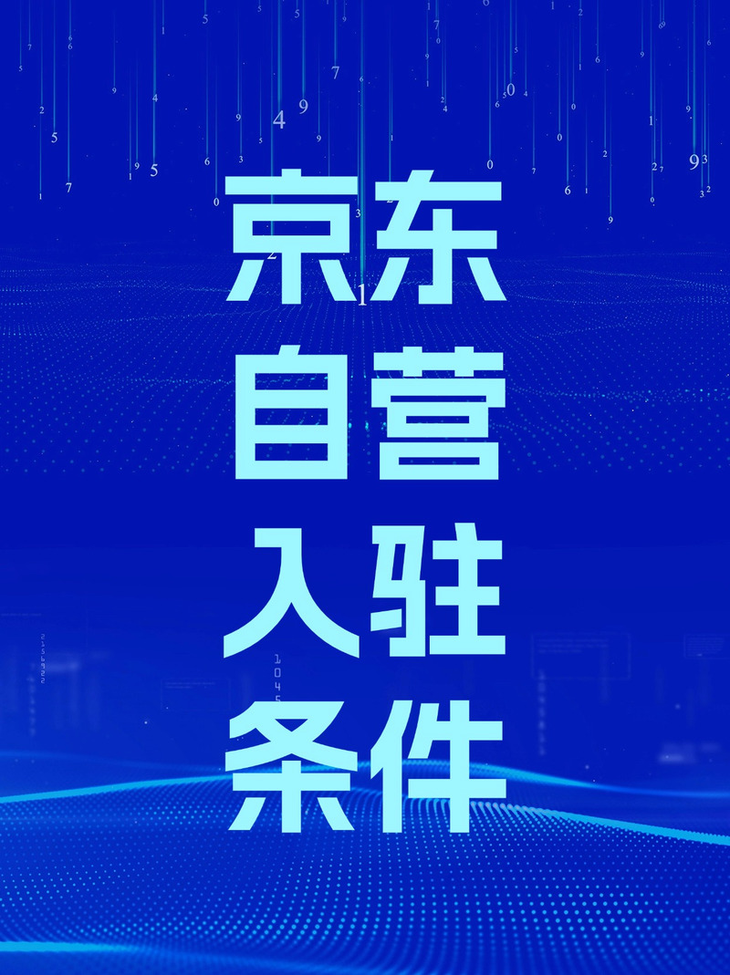 京东电商电子商务服务 体系、优势与未来展望